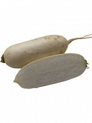 Дайкон